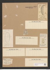 Surirella sp. (de-Toni-Nr.: Genus 53) Zeichnungen Sammlung Grunow Nr. 4856 (NHMW-BOT-W0373033)
